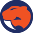 桑德林汉姆军刀女篮